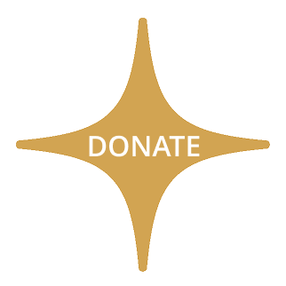Destin Charity Wine Auction Foundation Logo